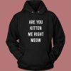 Are You Kitten Me Right Meow Hoodie Style