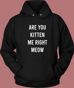 Are You Kitten Me Right Meow Hoodie Style